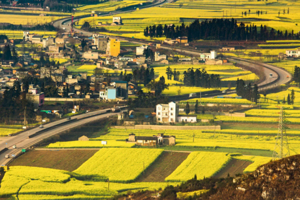 《山东新一轮“四减四增”三年行动方案(2021-2023)》(图1) 《山东新一轮“四减四增”三年行动方案(2021-2023)》(图1)